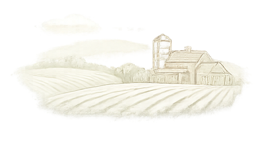 Farm Silo Background