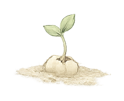 Plant Sprout