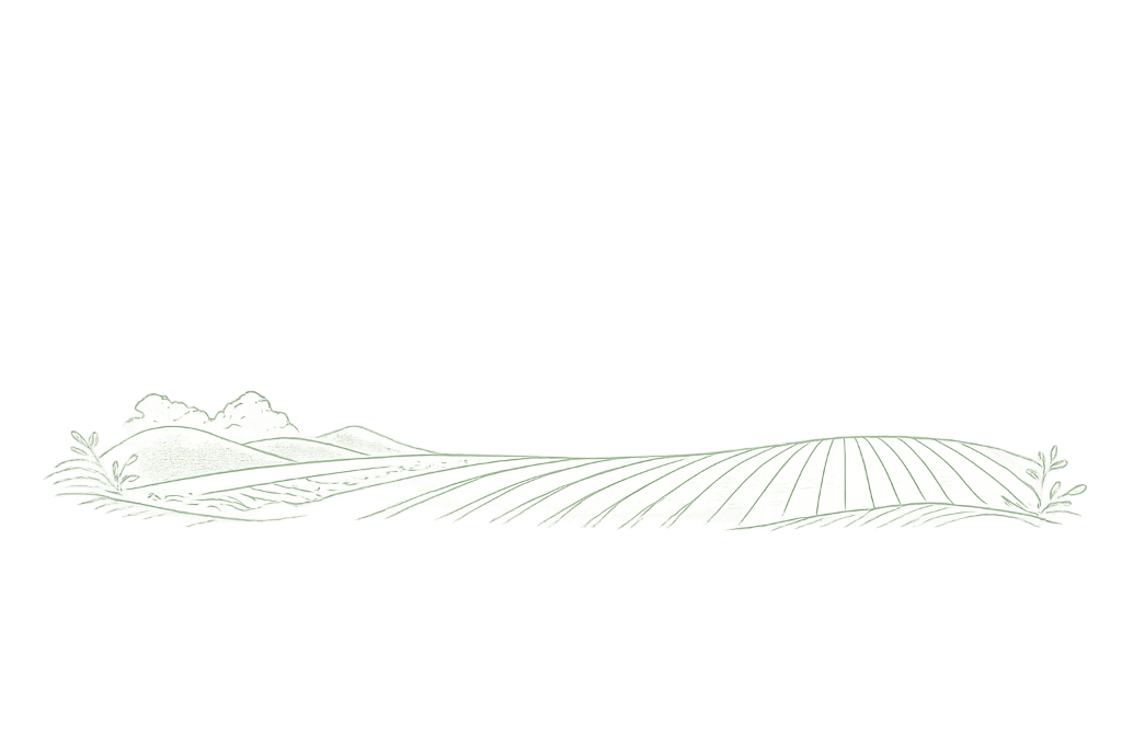 Hills Bottom Decoration